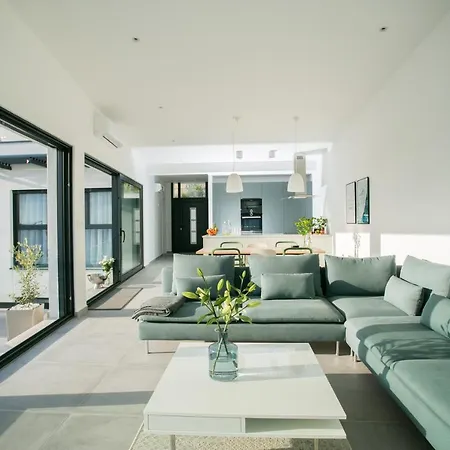 Olive トロギール