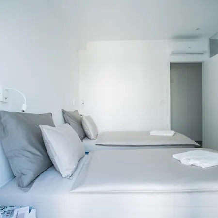 Olive トロギール