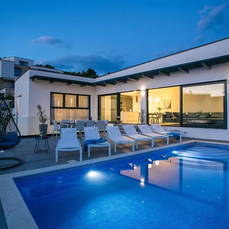 Olive トロギール